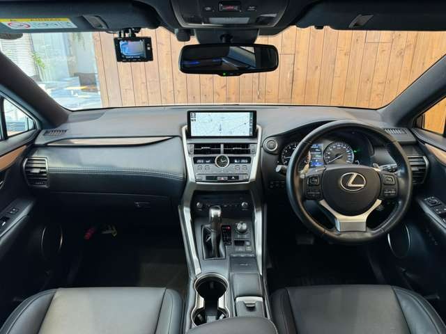 NX 300 ブロンズ エディション　特別仕様車