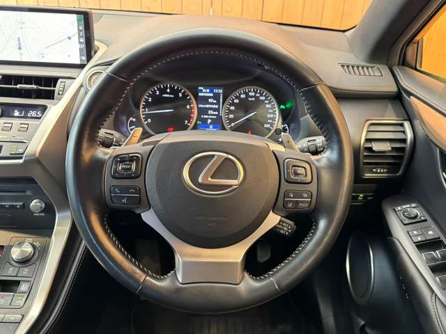 NX 300 ブロンズ エディション　特別仕様車