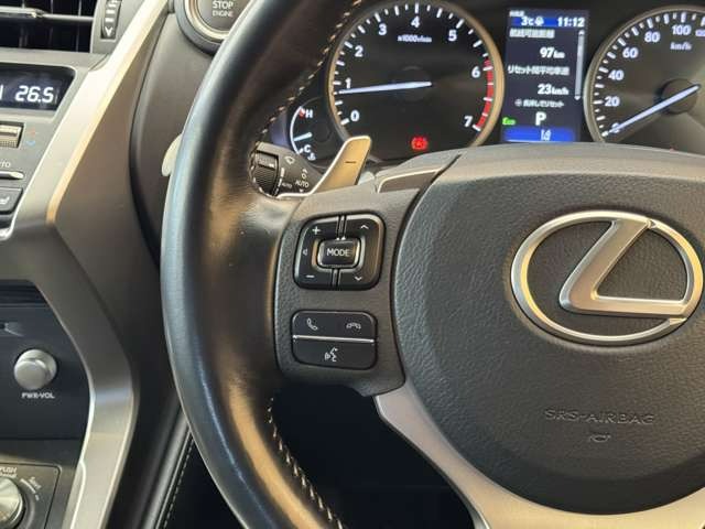 NX 300 ブロンズ エディション　特別仕様車