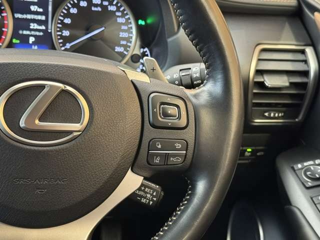 NX 300 ブロンズ エディション　特別仕様車