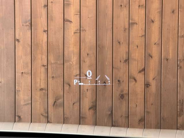 NX 300 ブロンズ エディション　特別仕様車