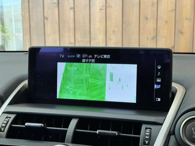 NX 300 ブロンズ エディション　特別仕様車