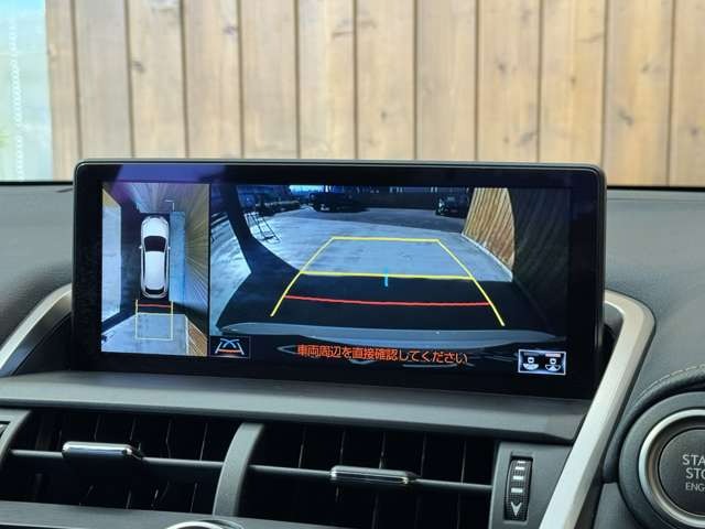 NX 300 ブロンズ エディション　特別仕様車