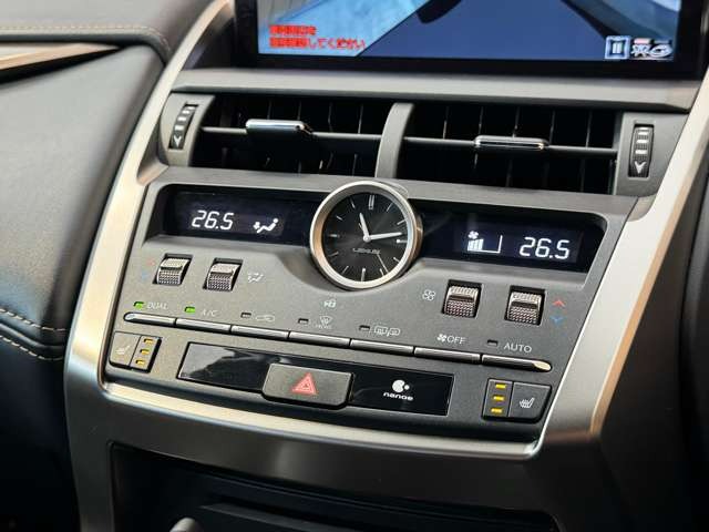 NX 300 ブロンズ エディション　特別仕様車