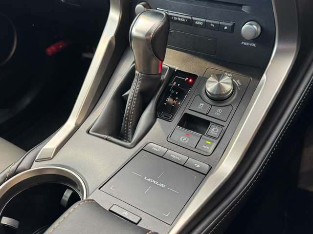 NX 300 ブロンズ エディション　特別仕様車