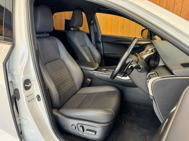 NX 300 ブロンズ エディション　特別仕様車