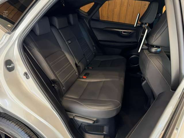 NX 300 ブロンズ エディション　特別仕様車