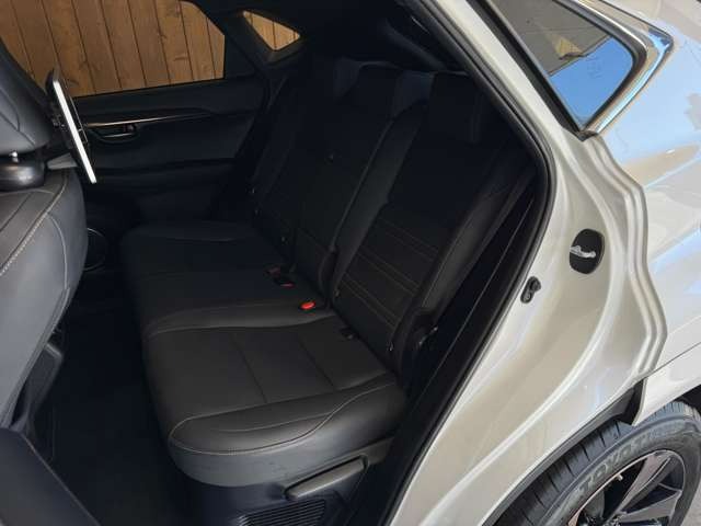 NX 300 ブロンズ エディション　特別仕様車