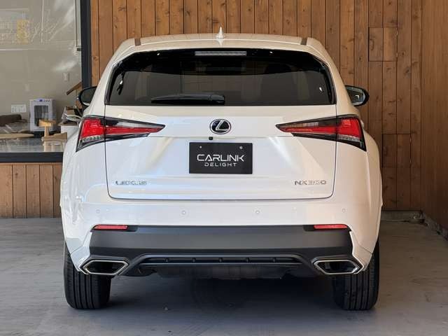 NX 300 ブロンズ エディション　特別仕様車