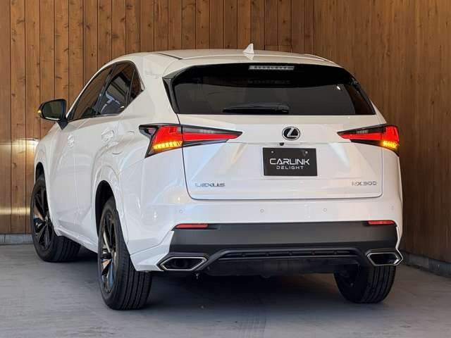 NX 300 ブロンズ エディション　特別仕様車