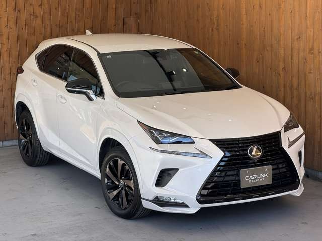 NX 300 ブロンズ エディション　特別仕様車