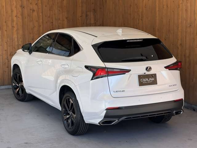 NX 300 ブロンズ エディション　特別仕様車