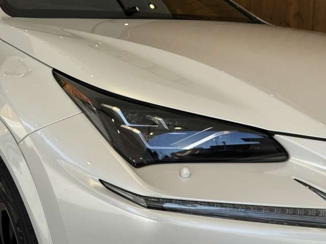 NX 300 ブロンズ エディション　特別仕様車