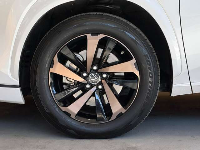 NX 300 ブロンズ エディション　特別仕様車