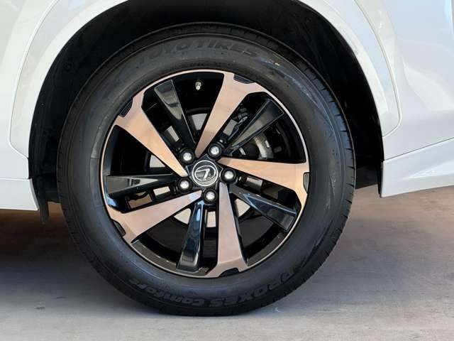 NX 300 ブロンズ エディション　特別仕様車