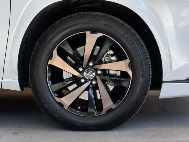 NX 300 ブロンズ エディション　特別仕様車