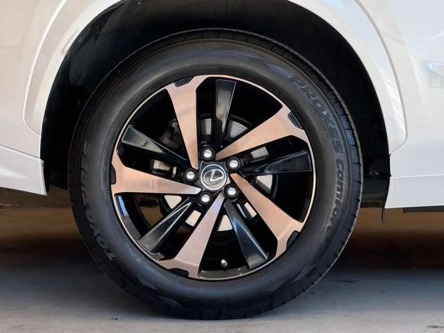 NX 300 ブロンズ エディション　特別仕様車