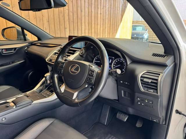 NX 300 ブロンズ エディション　特別仕様車