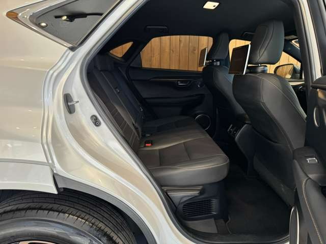 NX 300 ブロンズ エディション　特別仕様車