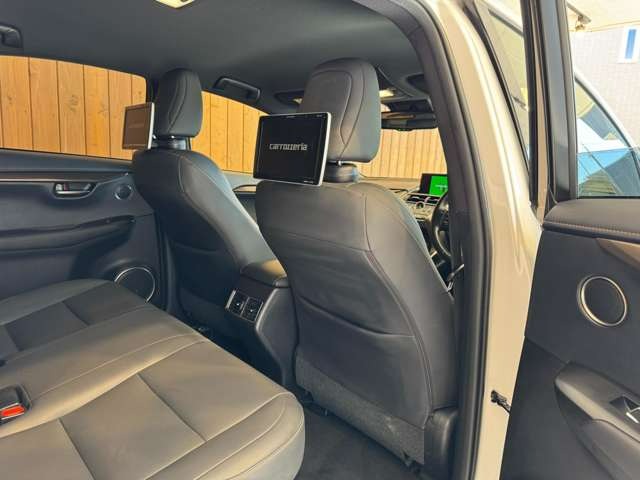 NX 300 ブロンズ エディション　特別仕様車