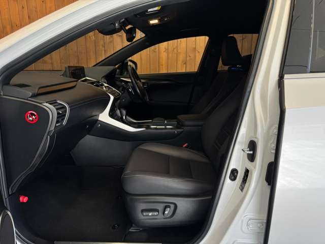 NX 300 ブロンズ エディション　特別仕様車