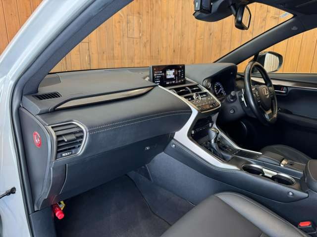 NX 300 ブロンズ エディション　特別仕様車