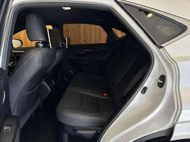 NX 300 ブロンズ エディション　特別仕様車