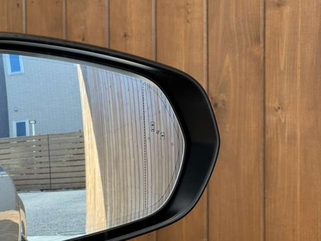 NX 300 ブロンズ エディション　特別仕様車