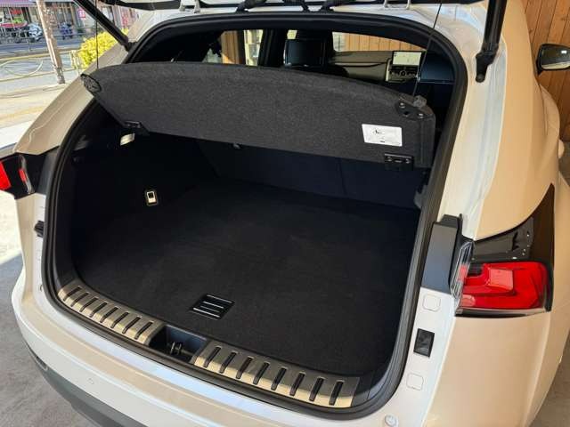 NX 300 ブロンズ エディション　特別仕様車