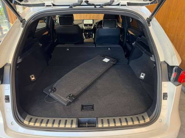 NX 300 ブロンズ エディション　特別仕様車