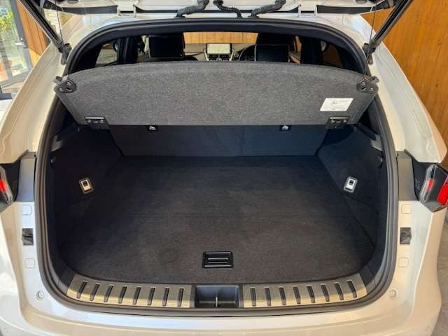 NX 300 ブロンズ エディション　特別仕様車