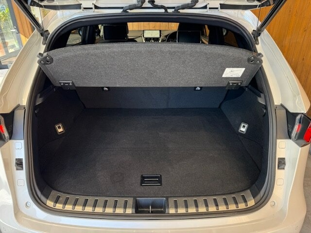 NX 300 ブロンズ エディション　特別仕様車