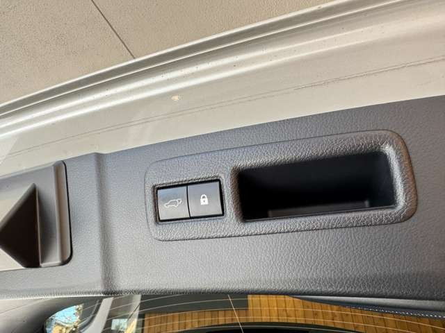 NX 300 ブロンズ エディション　特別仕様車