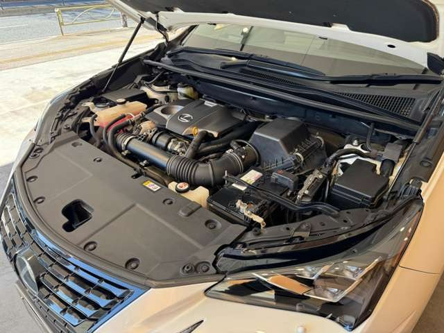 NX 300 ブロンズ エディション　特別仕様車