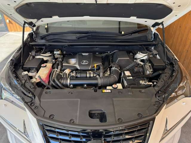 NX 300 ブロンズ エディション　特別仕様車