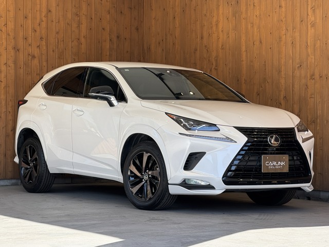 NX 300 ブロンズ エディション　特別仕様車 344.8万円