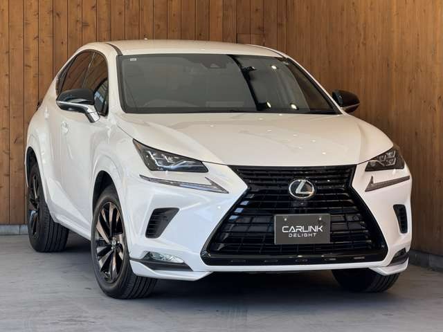 NX 300 ブロンズ エディション　特別仕様車