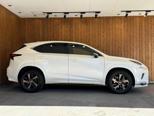 NX 300 ブロンズ エディション　特別仕様車