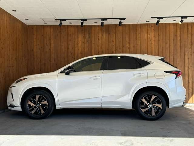 NX 300 ブロンズ エディション　特別仕様車