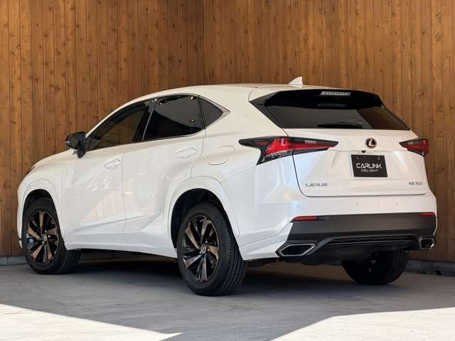 NX 300 ブロンズ エディション　特別仕様車