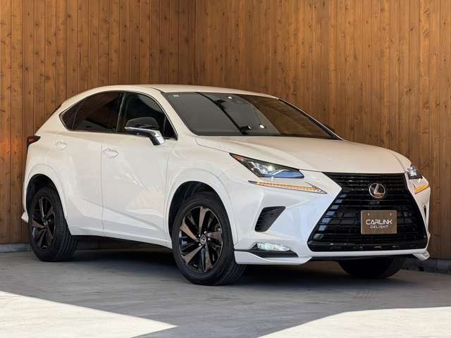 NX 300 ブロンズ エディション　特別仕様車