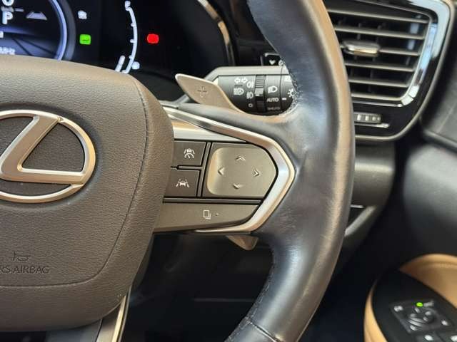 NX 450hプラス バージョンL