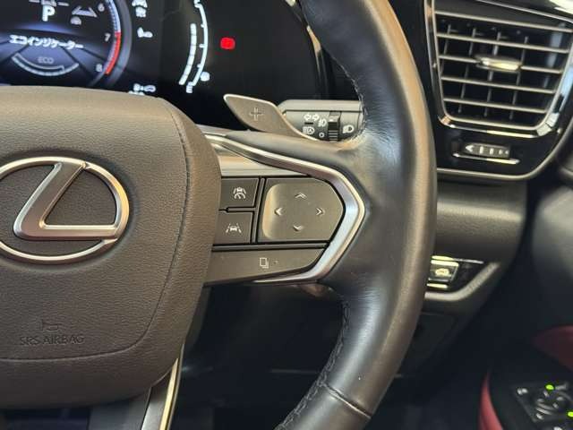 NX 250 バージョンL