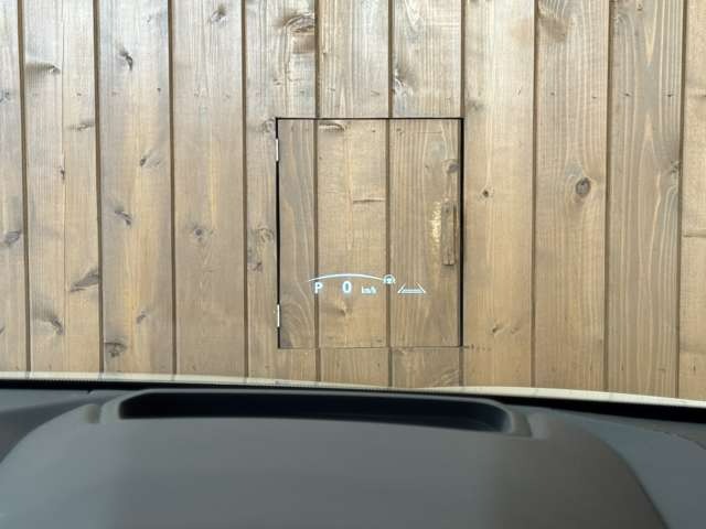 NX 250 バージョンL