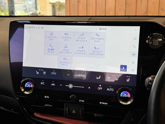 NX 250 バージョンL