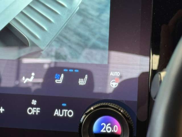 NX 250 バージョンL