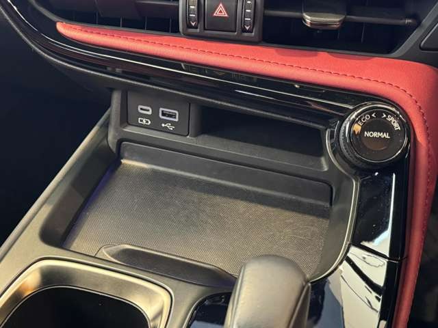 NX 250 バージョンL