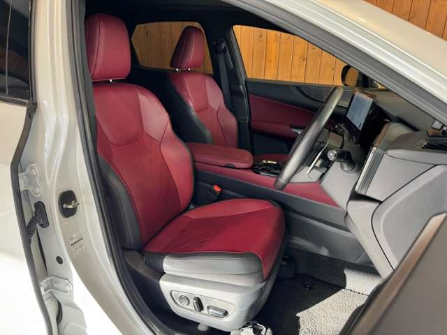 NX 250 バージョンL