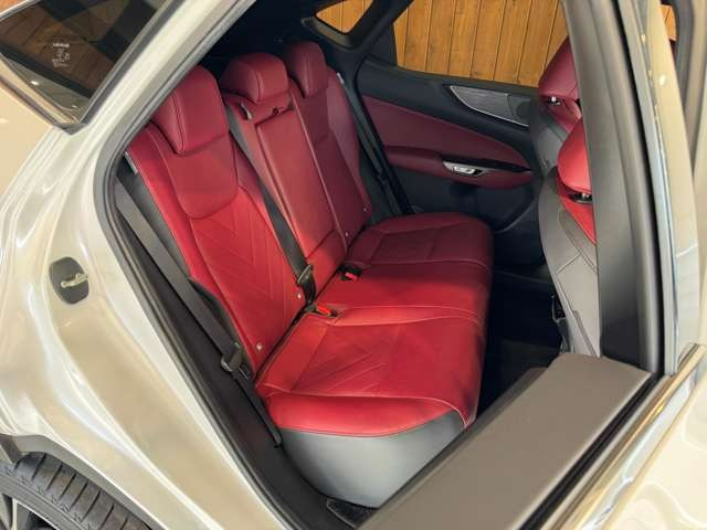 NX 250 バージョンL