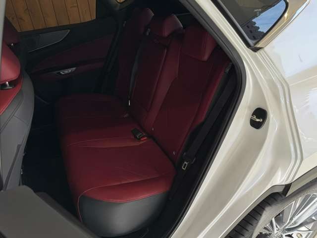 NX 250 バージョンL